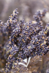 Similar image 2883218