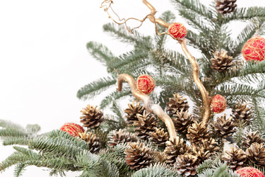 Similar image 2883220