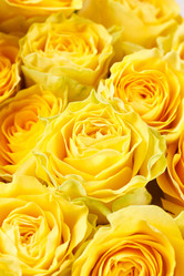 Similar image 2883238