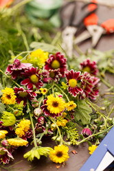 Similar image 2883283