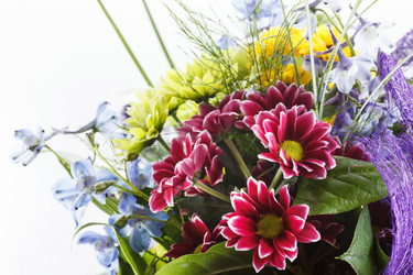 Similar image 2883298