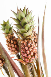 Similar image 2883299