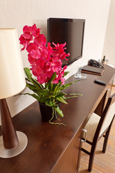 Similar image 2883313