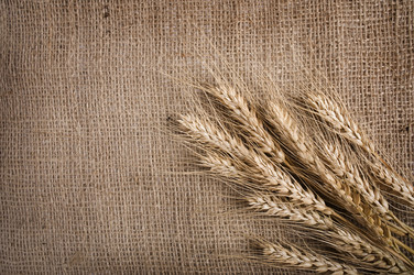 Similar image 2883398