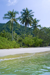 Similar image 2883418