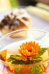 Similar image 2883552