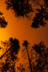 Similar image 2883554