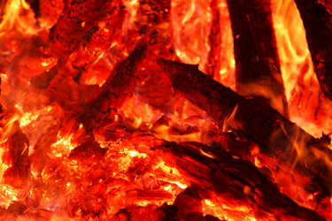 Similar image 2883555