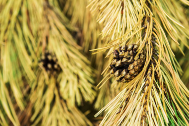 Similar image 2883557