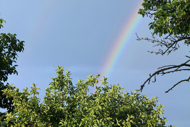 Similar image 2883929