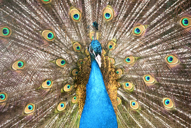 Similar image 2883939