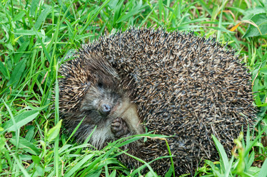 Similar image 2883963