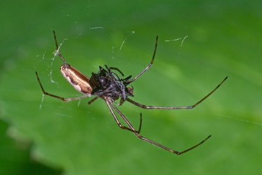 Similar image 2883969