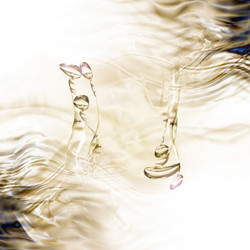 Similar image 2883974