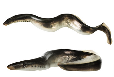 Similar image 2883987