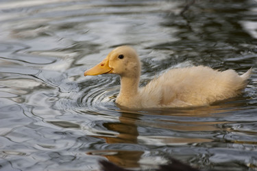 Similar image 2883996