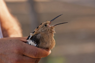 Similar image 2883997