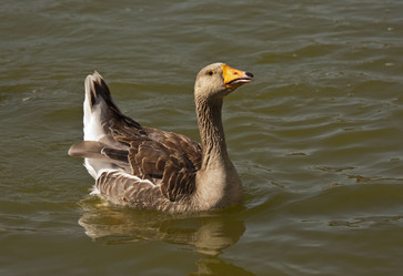 Similar image 2883998