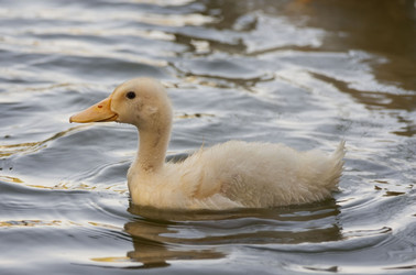 Similar image 2883999