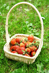 Similar image 2884002