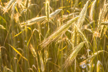 Similar image 2884005