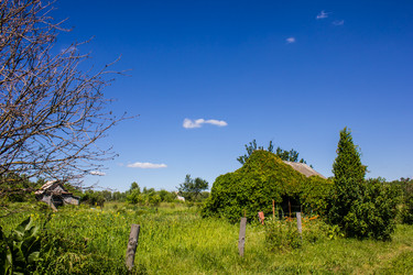 Similar image 2884006