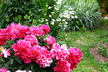 Similar image 2884022