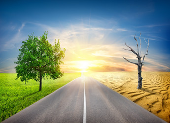 Similar image 2884031