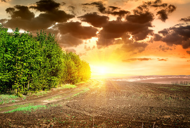 Similar image 2884032