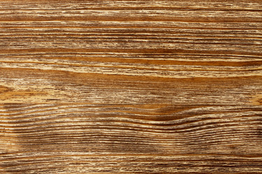 Similar image 2884038