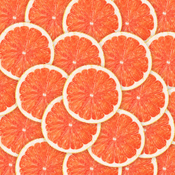 Similar image 2884041