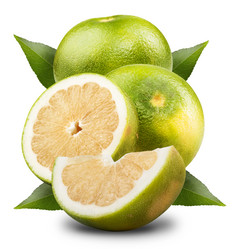 Similar image 2884043