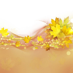 Similar image 2884046