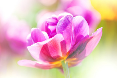 Similar image 2884156