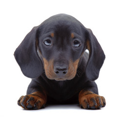 Similar image 2884172