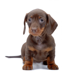 Similar image 2884175