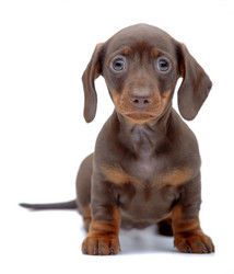 Similar image 2884176