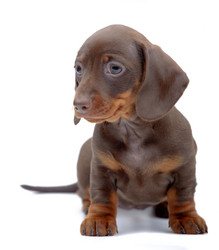 Similar image 2884177