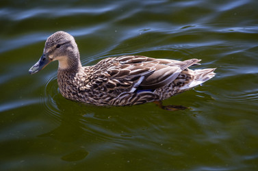 Similar image 2884222