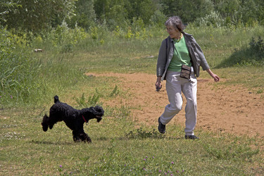 Similar image 2884268