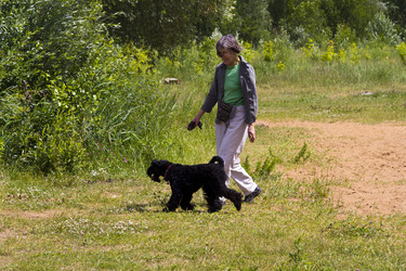 Similar image 2884269