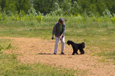 Similar image 2884270