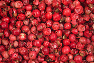 Similar image 2884303