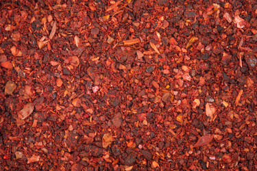 Similar image 2884307