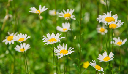 Similar image 2884320