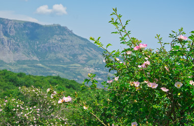 Similar image 2884321