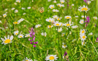 Similar image 2884322