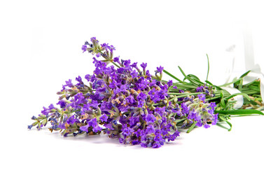 Similar image 2884340