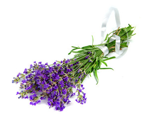 Similar image 2884348