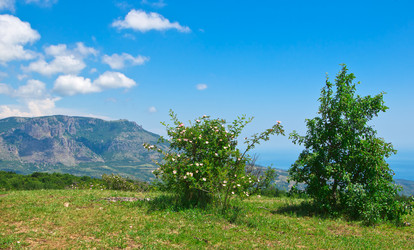 Similar image 2884349